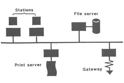 Components of LAN