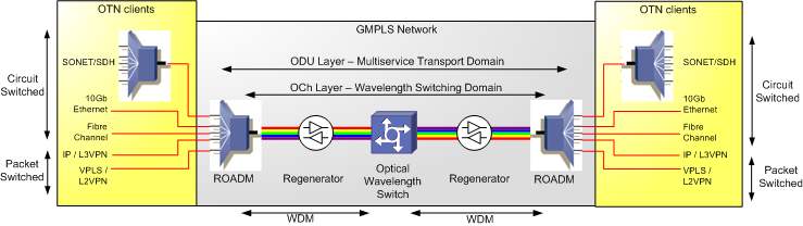 OTN network