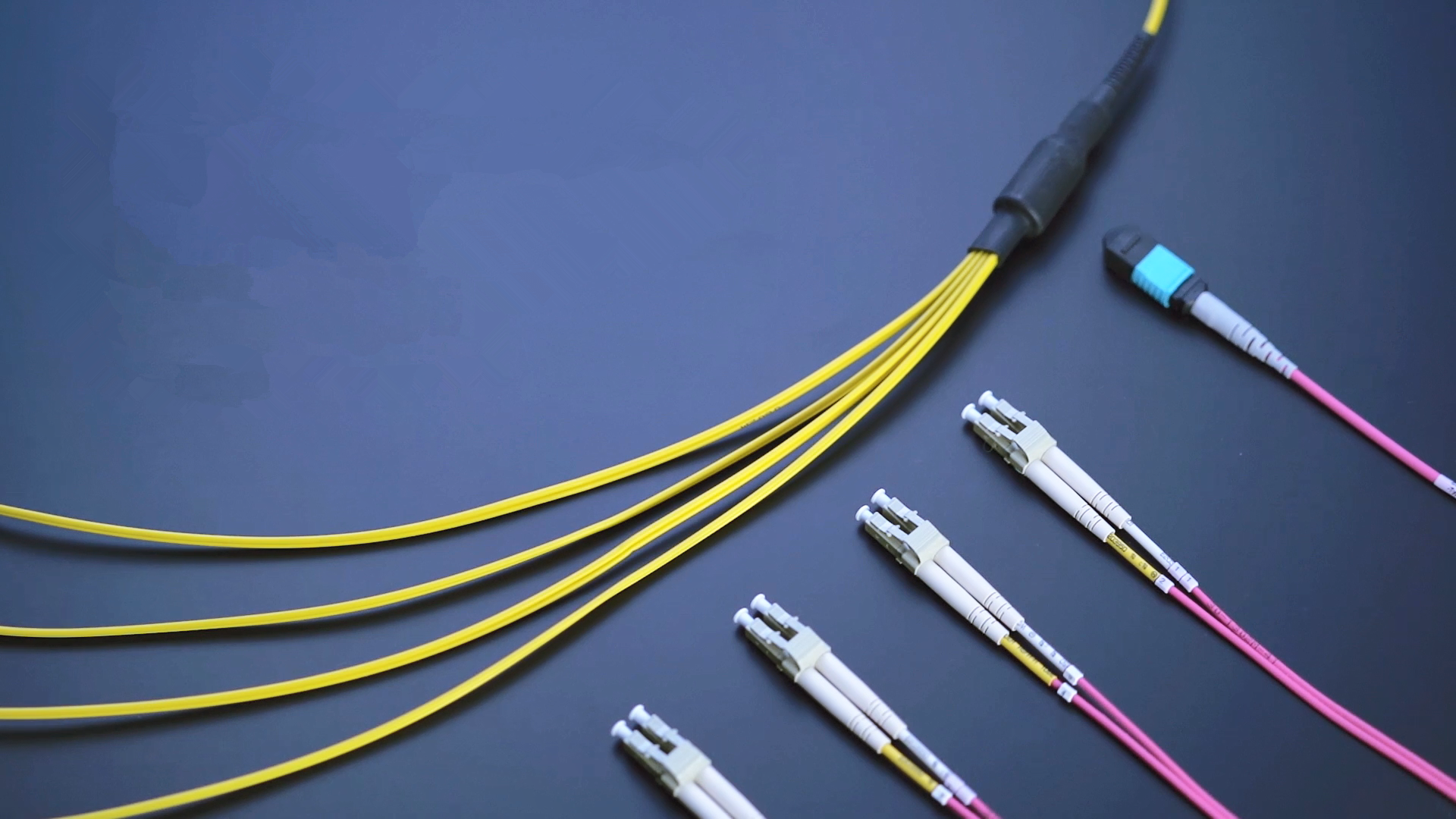MTP/MPO harness cable